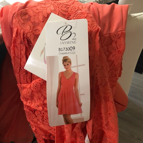 Grapefruit lace and chiffon knee length - Picture 4 of 12